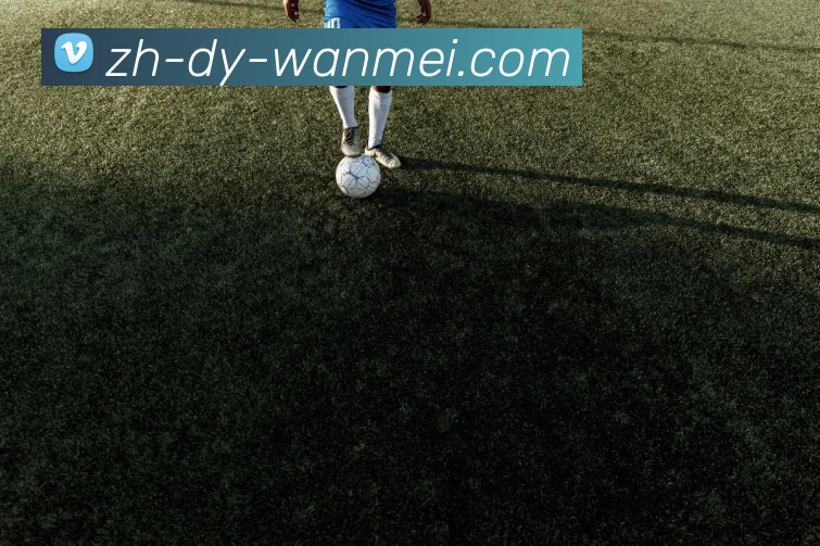 多媒体互动体验